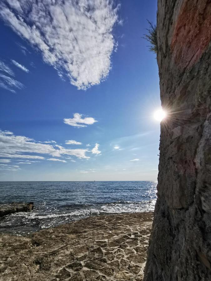 Novigrad Istria Ivan B&B, 5 Star Superior Room, Near The See And Park المظهر الخارجي الصورة